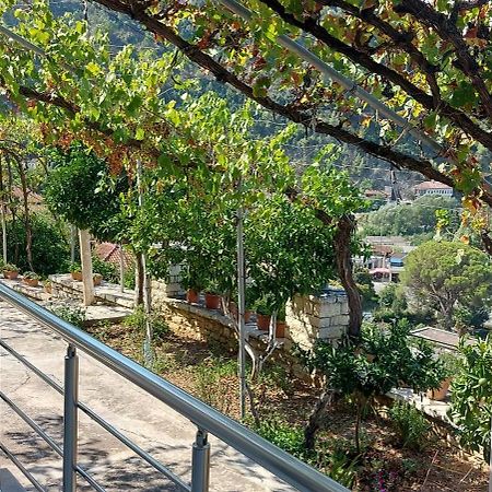 Green Forest Berat Exterior photo